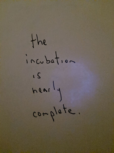 Incubation